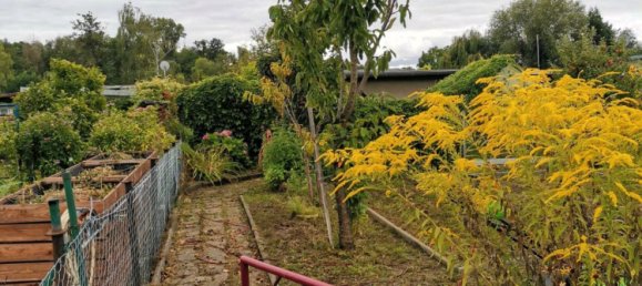 Terrain à Brandenburg an der Havel, Germany No. 358336 5