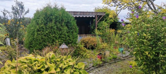 Terrain à Brandenburg an der Havel, Germany No. 358336 3