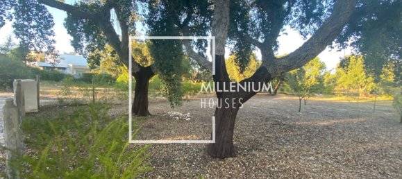  Land in Benavente, Portugal No. 190402 14