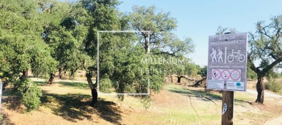  Land in Benavente, Portugal No. 190402 16