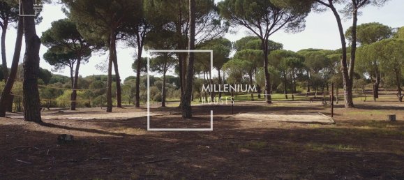  Land in Benavente, Portugal No. 190402 24