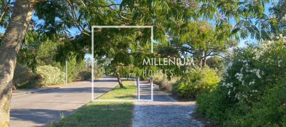  Land in Benavente, Portugal No. 190402 22