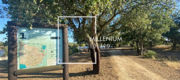  Land in Benavente, Portugal No. 190402 18