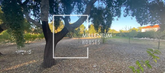  Land in Benavente, Portugal No. 190402 15