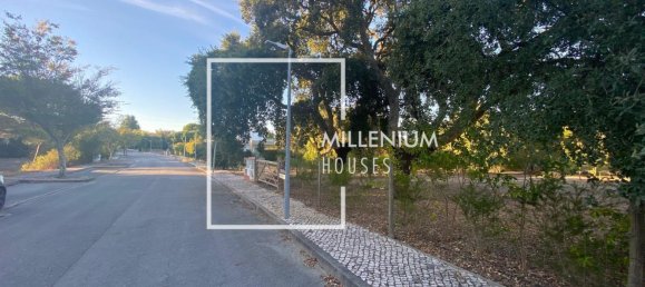  Land in Benavente, Portugal No. 190402 13