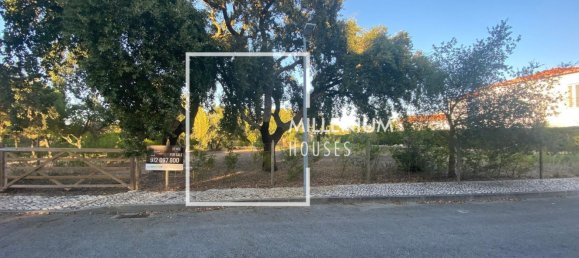  Land in Benavente, Portugal No. 190402 12