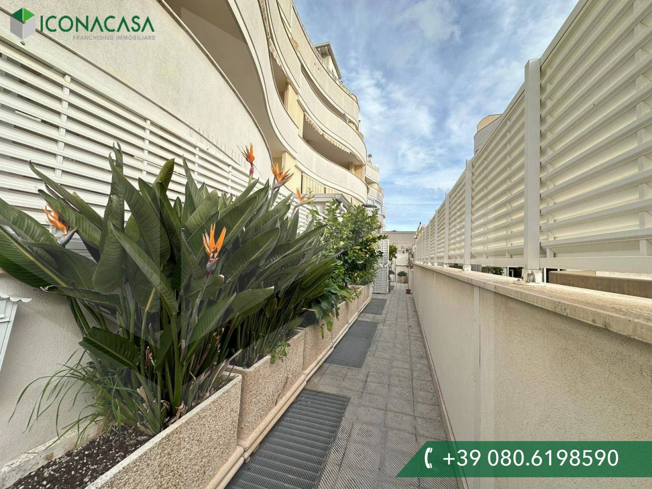 3 rooms Apartment in Monopoli, Italy No. 29277