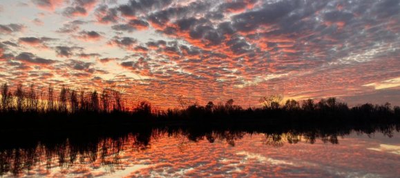 250m² Commercial property in Milan, Italy No. 246932 15