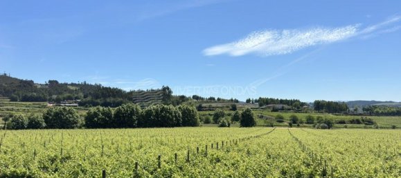 Terreno en Lousada, Portugal 5078 m² No. 48219 12