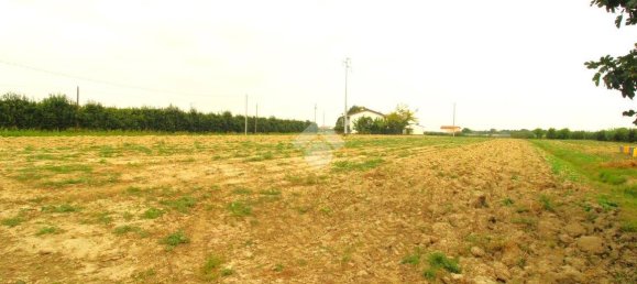 2 bedrooms House in Cesena, Italy No. 89407 23