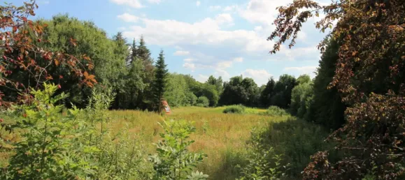 Terreno en Herford, Germany No. 366375 4