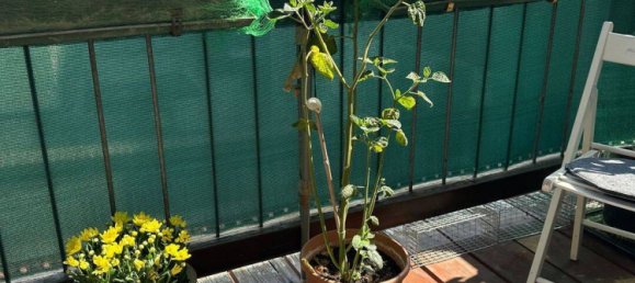 3 bedrooms Apartment in Mannheim, Germany No. 367874 6