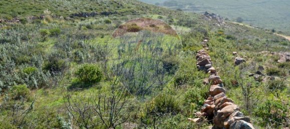 7260m² Land in Cascais, Portugal No. 62031 15