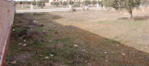 400m² Land in Nambroca, Spain No. 70612 6