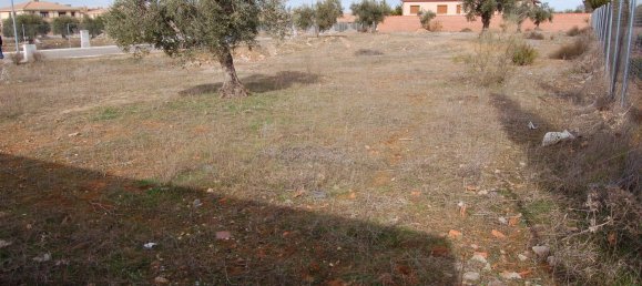 400m² Land in Nambroca, Spain No. 70612 11