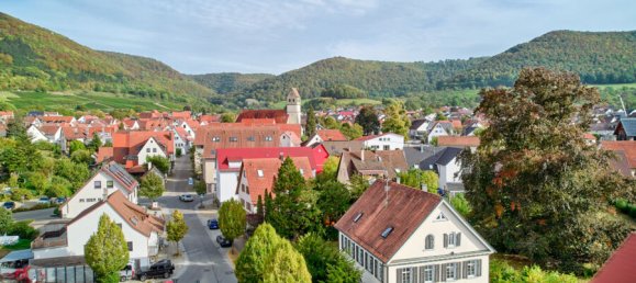 Таунхаус с 12 комнатами в Баден-Вюртемберг, Германия № 21185 35