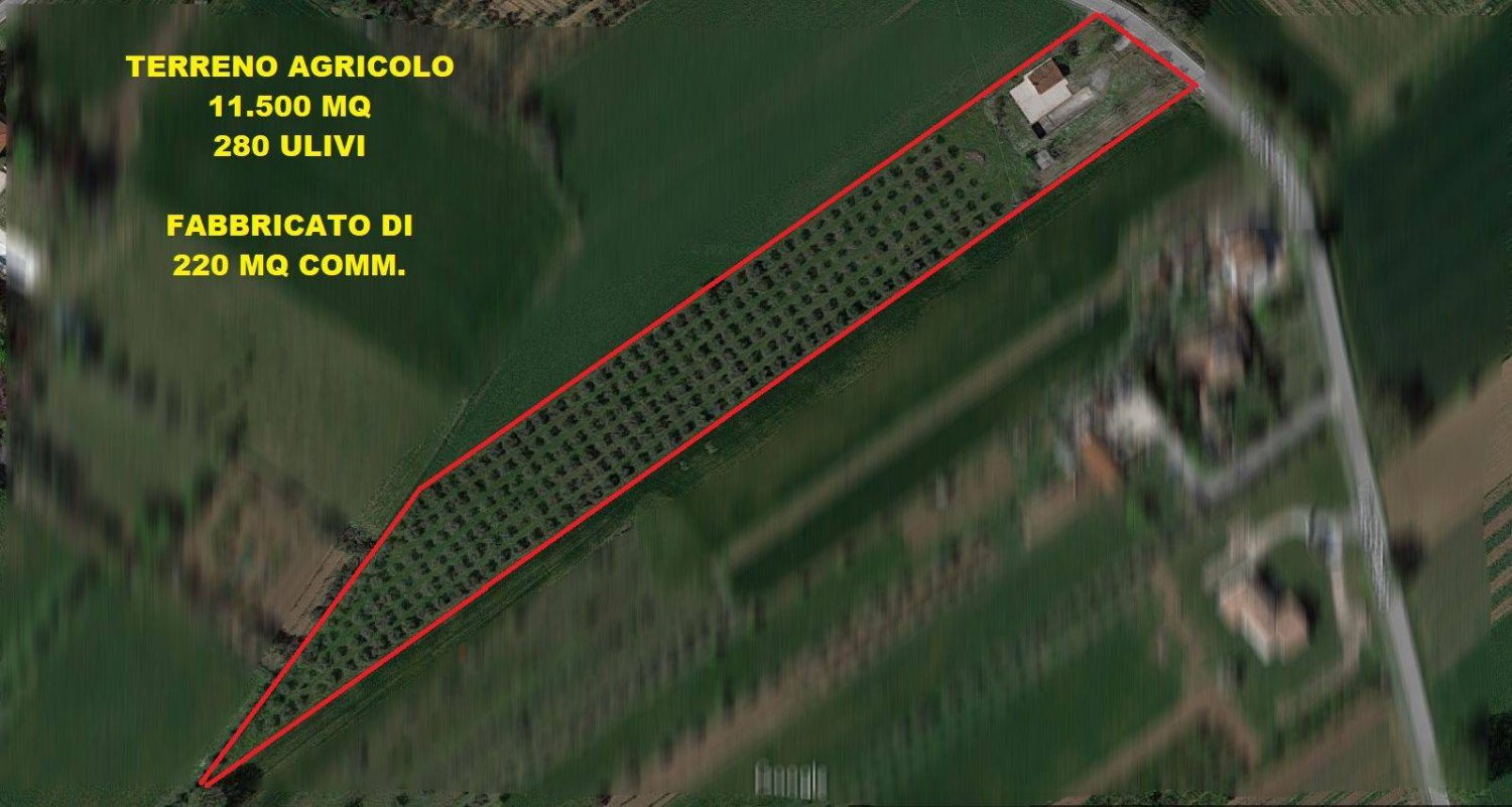 Lagerhaus in Santarcangelo di Romagna, Italy 220m², Nr. 154301
