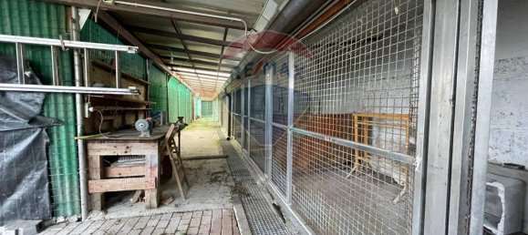 11 rooms Building in Divignano, Italy No. 156931 28