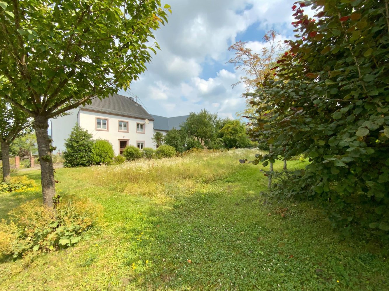 4 bedrooms House in Rhineland-Palatinate, Germany No. 263548
