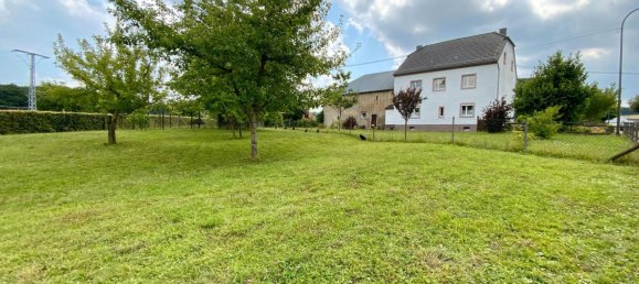 4 bedrooms House in Rhineland-Palatinate, Germany No. 263548 2