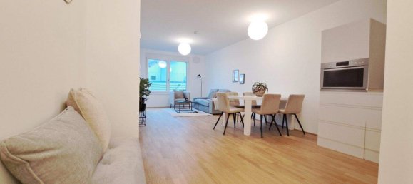2 rooms Apartment in Deutsch-Wagram, Austria No. 254779 3