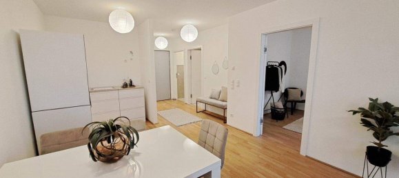 2 rooms Apartment in Deutsch-Wagram, Austria No. 254779 4