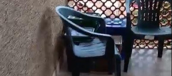 Casa de 6 divisões em Massa, Italy N.º 160845 22