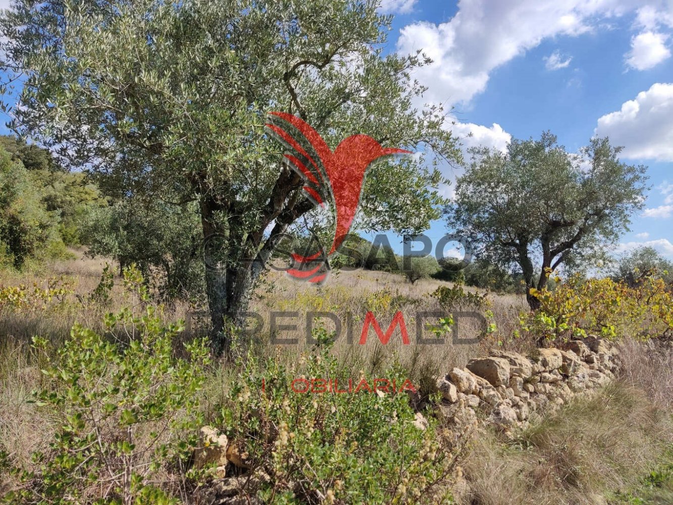  Land in Quarteira, Portugal No. 193849