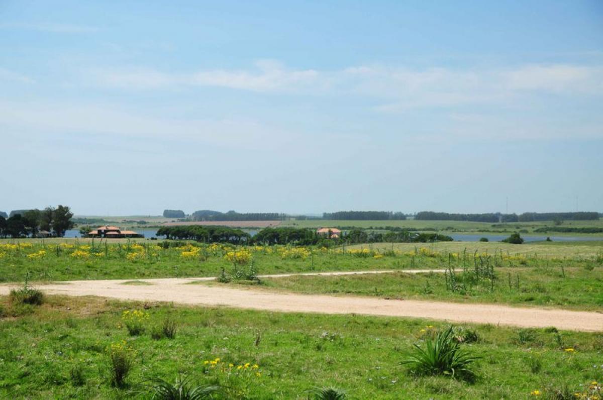  مزرعة في Maldonado, Uruguay رقم 14575