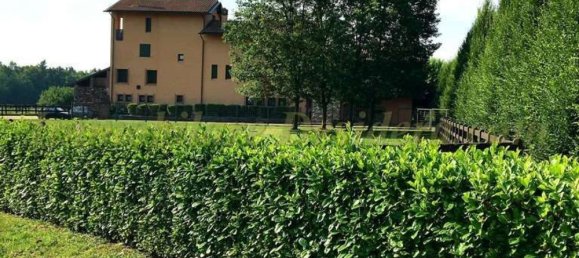 7 rooms Villa in Suno, Italy No. 65710 16