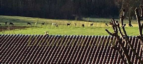 7 rooms Villa in Suno, Italy No. 65710 13