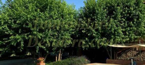 7 rooms Villa in Suno, Italy No. 65710 14