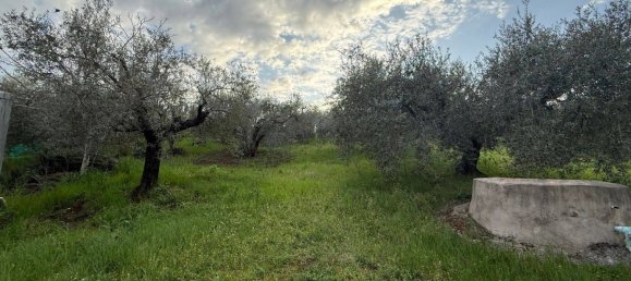 2580m² Land in Fonte Nuova, Italy No. 55254 7