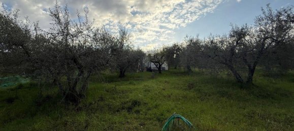 2580m² Land in Fonte Nuova, Italy No. 55254 8