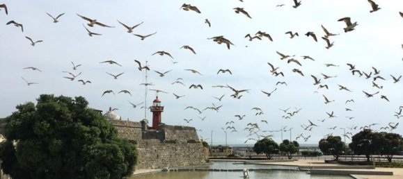 95m² Commercial property in Figueira da Foz, Portugal No. 189892 3