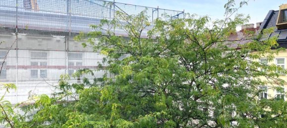 1 bedroom Apartment in Rudolfsheim-Funfhaus, Austria No. 260163 7