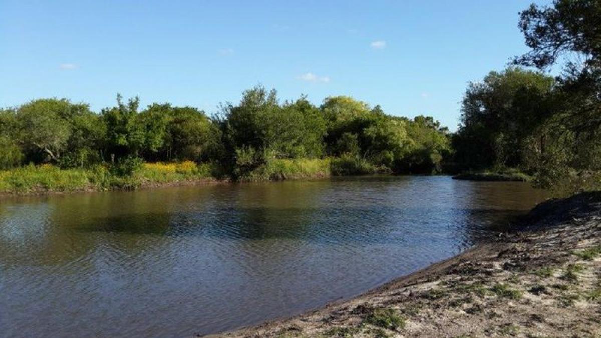 Ферма в Мальдонадо, Уругвай № 14589