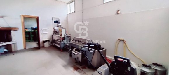 1 room Land in Cellere, Italy No. 130160 19