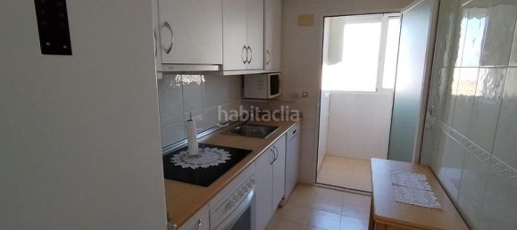 Квартира с 1 спальней в Бенидорм, Испания № 167771 13