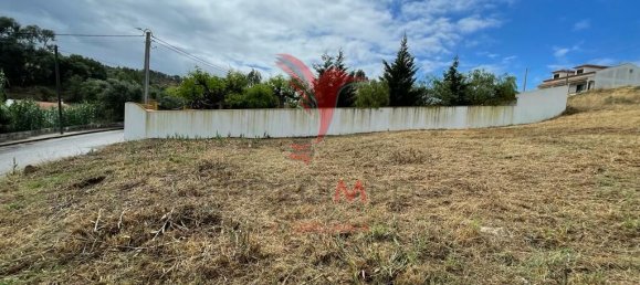  قطعة أرض في Chamusca, Portugal 440متر مربع رقم 57358 4