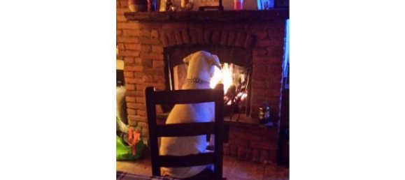 4 bedrooms House in Gambolò, Italy No. 252997 3