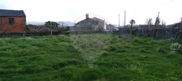 1 Schlafzimmer Haus in Oliveira de Frades, Portugal, Nr. 189039 10