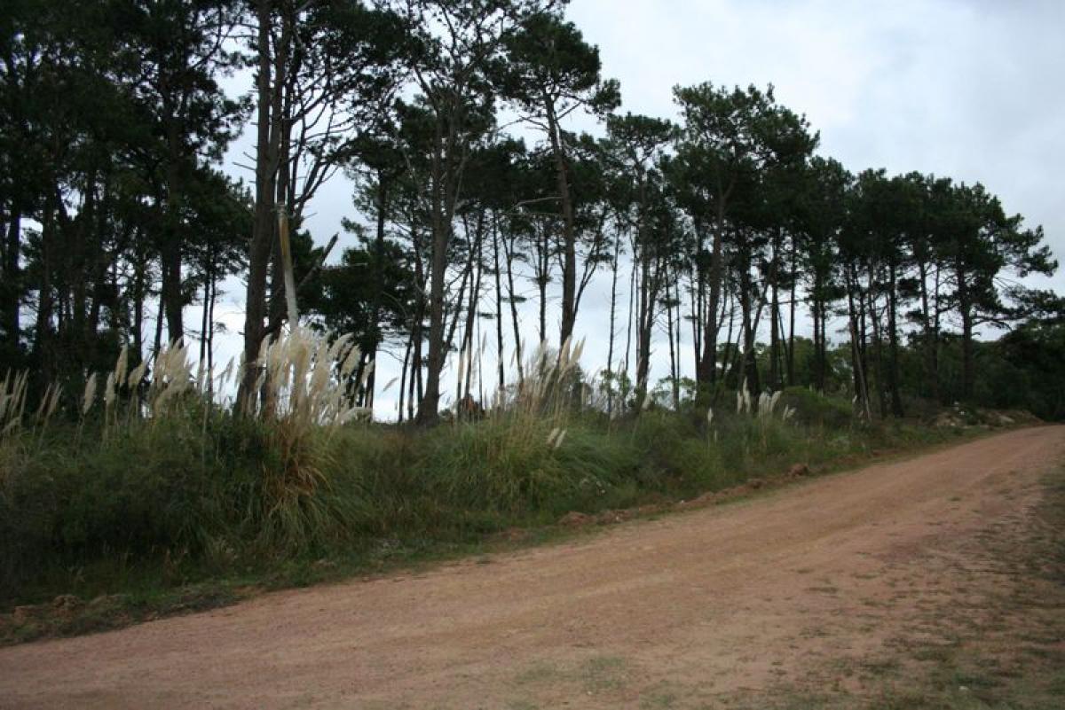  قطعة أرض في Maldonado, Uruguay رقم 16074