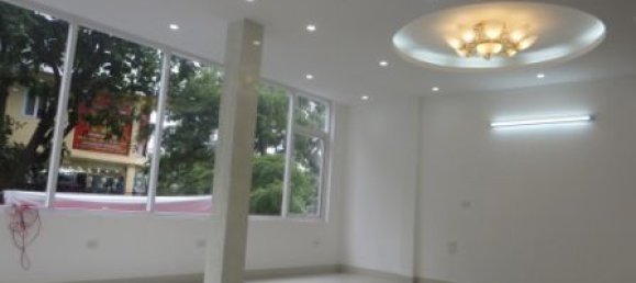 260m² House in Hai Ba Trung, Vietnam No. 3919 8