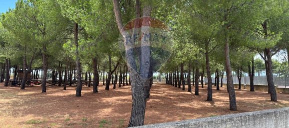 3 chambres Appartement à Monopoli, Italy No. 335696 30