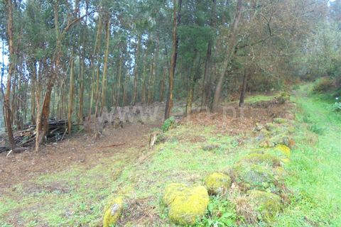 Grundstück in Barcelos, Portugal, Nr. 202232