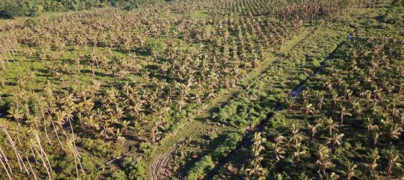 Propiedad comercial en Port-Vila, Vanuatu No. 111 4