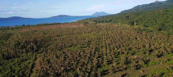 Propiedad comercial en Port-Vila, Vanuatu No. 111 5