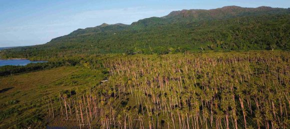 Propiedad comercial en Port-Vila, Vanuatu No. 111 3