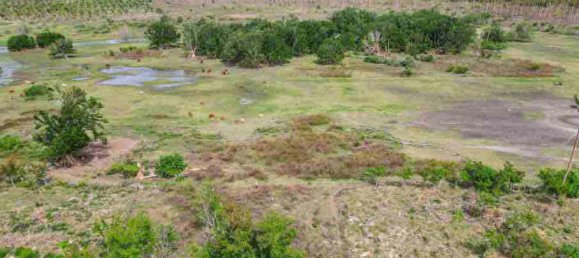 Propiedad comercial en Port-Vila, Vanuatu No. 111 6